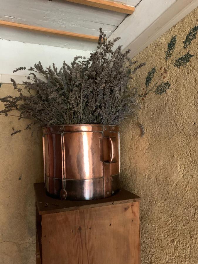 Bed and Breakfast Le Potala Le Bouchet-Saint-Nicolas Экстерьер фото
